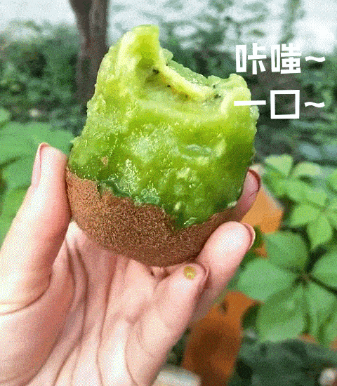 走起！這樣的采摘游玩樂趣千萬別錯過——獼猴桃采摘基地合集